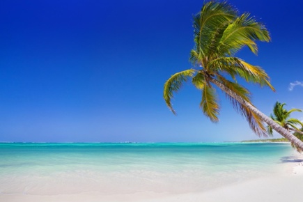 punta-cana-absolut-14520_2.jpg