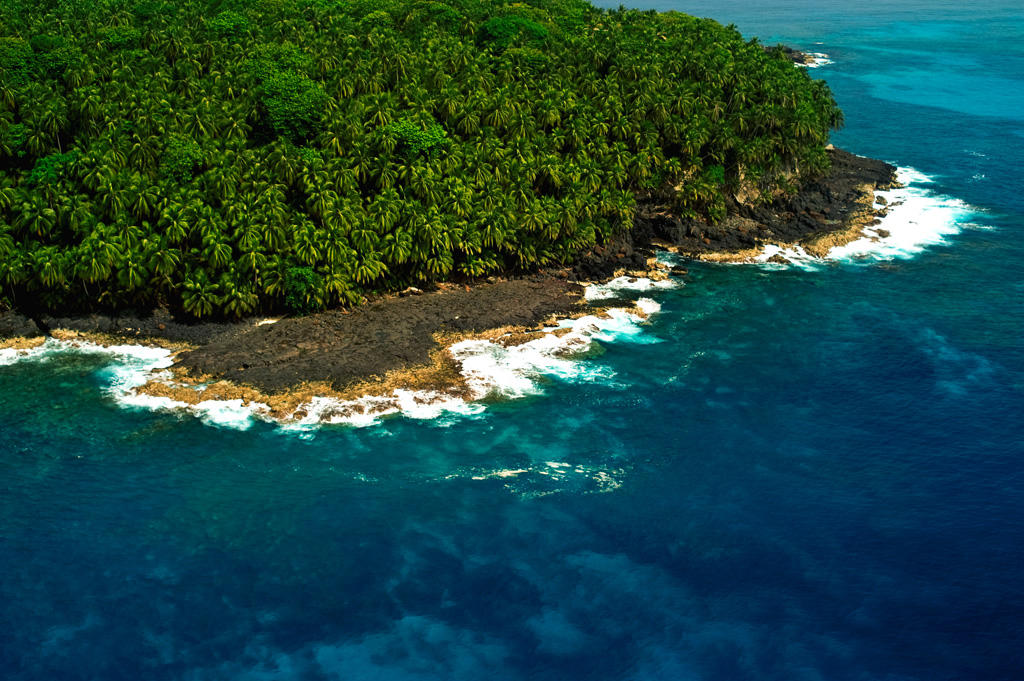 STP Falcon Gp. Picture 027