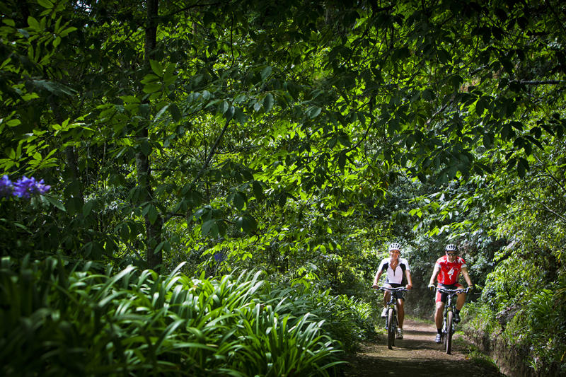 BTT©Tiago Sousa_Desenquadrado (11)